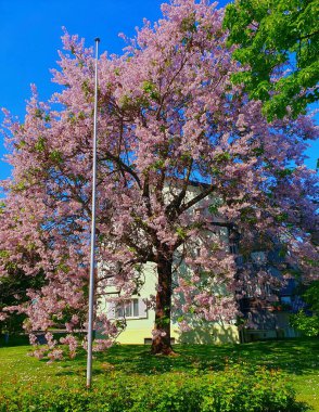 Paskalya - Bahar doğası, Paskalya yumurtaları ve dekorasyon