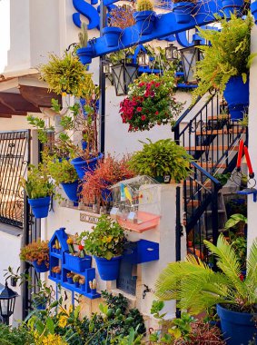 Ocak 'ta Alicante - güneşli, sıcak ve yaz