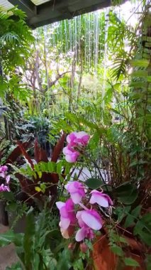 Asya 'da bir yerlerde tropik yaban hayatı atmosferi ve su