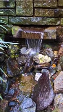 Asya 'da bir yerlerde tropik yaban hayatı atmosferi ve su