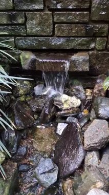 Asya 'da bir yerlerde tropik yaban hayatı atmosferi ve su