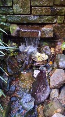 Asya 'da bir yerlerde tropik yaban hayatı atmosferi ve su