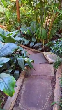 Asya 'da bir yerlerde tropik yaban hayatı atmosferi ve su