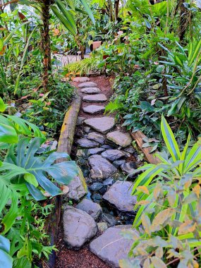 Bereketli yeşil ormanlar kristal berraklığında şelalelerle buluşarak Asya 'nın göbeğinde egzotik çiçekler için bir cennet yaratıyor..