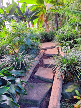 Bereketli yeşil ormanlar kristal berraklığında şelalelerle buluşarak Asya 'nın göbeğinde egzotik çiçekler için bir cennet yaratıyor..