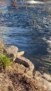 Zürih Limmat nehri boyunca güzel manzaralı güzel bir yürüyüş..