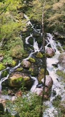 Huzurlu ve sakin bir akarsu yosunlarla kaplanmış ve aşınmış kayaların üzerinde yavaşça süzülüyor.