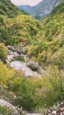 Bir sonbahar vadisi boyunca akan dingin bir nehir, gözleri büyüleyen renkli yapraklarla süslenir.