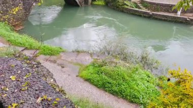 historic stone arch bridge spanning calm emerald river with mossy masonry, gentle eddies beneath arches, leafy banks and cobbled