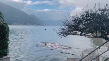 Göl kıyısında çıplak ağaçlar ve su altındaki platformlar, bulutlu dağ zeminleri, soğuk sularda hafif dalgalanmalar, yol gösteren taş adımlar.