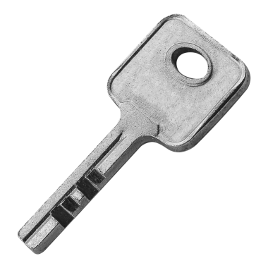 Gümüş anahtarı taklit et.