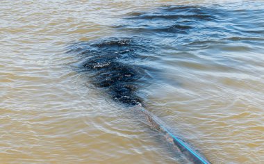 Endüstriyel kanalizasyonlardan nehre atık su