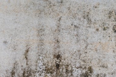 Yeşil yosunlu gri beton duvar