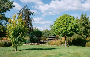 Ağaçlar, ahşap bir köprü ve parçalı bulutlu bir gökyüzünün altında yeşil bir çimenlik..