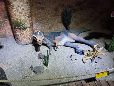 Dino Parkı, OC Plaza, Liberec