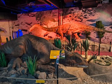 Dino Parkı, OC Plaza, Liberec