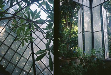 Sicilya Botanik Bahçesi Palermo