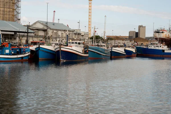 Sakin Cape Town limanı hareketsiz balıkçı tekneleriyle dolu. Şehrin hareketli denizcilik ticaretinde geçici bir sessizlik sinyali veriyor.