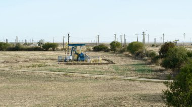 Romanya 'nın güneyinde elektrik direkleri ve bitki örtüsüyle çevrili kırsal alandan ham petrol çıkarıyor.