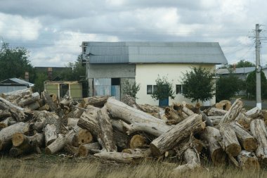 Bulutlu hava koşulları altında, kırsal bir bölgede, yerleşim yerlerinin yakınındaki bir caddeye yığılmış büyük bir kütük yığını yığıldı..