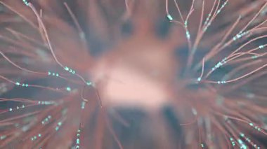 Birbirine bağlı yollar boyunca nöral sinyal darbeleriyle yoğun beyin nöron ağı, kusursuz döngü.