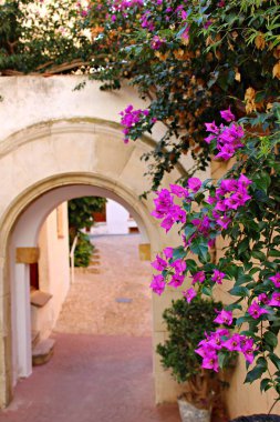 Taş bir kemer yolu ve Roc de Sant Gaieta 'da büyüleyici bir patika üzerinde sallanan canlı bougainvillea çiçekleriyle güzel Akdeniz sokak detayı. İspanya