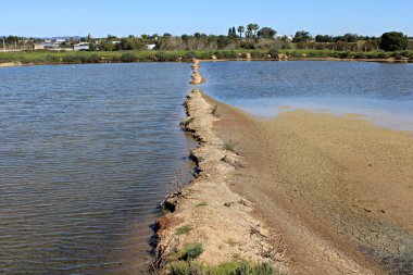 Ria Formosa, Fuseta, Algarve, Portekiz 'deki tuz göletleri arasına duvar örmek. Sığ su, kurumuş çatlamış toprak ve bitki örtüsü.