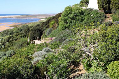 Cacela Velha, Algarve, Portekiz yakınlarındaki Ria Formosa sulak alanları ve gelgit kanallarının manzarası. Praia da Fabrica doğal rezervlerinde kıyı bitkileri, kaktüsler, bataklık bitkileri ve parlak güneş ışığı altındaki kumlu kıyılar yer alıyor..
