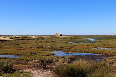 Portekiz 'in Fuseta kenti yakınlarındaki Ria Formosa Doğal Parkı' nda geniş bir tuz bataklığı manzarası gelgit kanalları, kıyı bitki örtüsü ve açık mavi gökyüzü altında, sakin ve el değmemiş kıyı şeridi manzarası altında bulunan şamandıralar üzerindeki tarihi gelgit fabrikası.