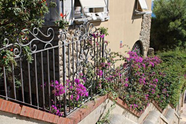 Çiçekli bougainvillea taştan bir merdiven boyunca işlenmiş demir parmaklıklar, kırsal dokular ve canlı çiçeklerle Akdeniz yerleşim yeri mimarisi ile tırmanıyor. Güney Avrupa yaşam tarzı, sükunet ve geleneksel açık hava tasarımını temsil ediyor