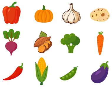 Kabak, havuç, mısır, patlıcan, kırmızı biber, pancar, brokoli, sarımsak, patates, tatlı patates, dolma biber ve yeşil bezelye dahil olmak üzere renkli sebze vektörü seti. Sağlıklı gıda tasarımı, organik tarım markalaşması ve tarif çizimi için mükemmel..