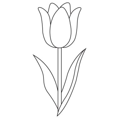 Zarif lale çizimi vektör sanat çizimi minimum ve temiz çiçek tasarımı içeriyor. Bu siyah beyaz çiçek çizimi tebrik kartları, düğün davetiyeleri vs. için mükemmeldir..