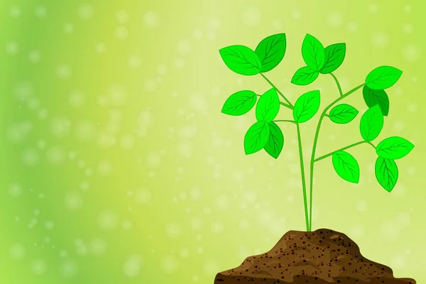 Növény Egy Halom Földből Zöld Háttérrel Elmosódott Bokeh Val Vetés — Stock Vector