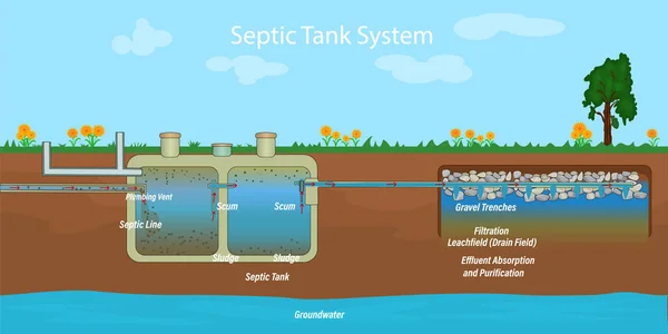 Mobile Home Septic System Drain Field Scheme Underground Septic System — Stock Vector