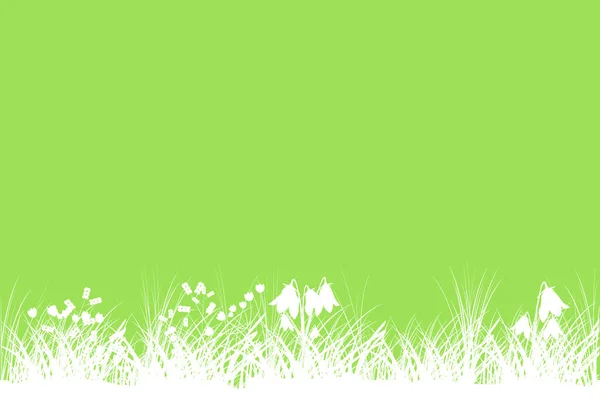 Grüner Frühlingshintergrund Mit Kopierraum Sommerliches Grasbanner Mit Blumen Vorlagen Hintergrundrahmen — Stockvektor