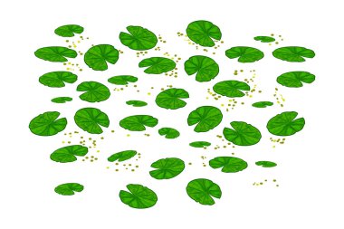 Lily pedleri beyaz arka planda izole edilmiş. Lotus yaprağı deseni. Nilüfer yaprakları. Yüzeyinde nenupharlar ya da su nilüferleri olan havuz dokusu. Botanik doku. Doğa elementi, orman ve vahşi yaşam. Stok vektör illüstrasyonu