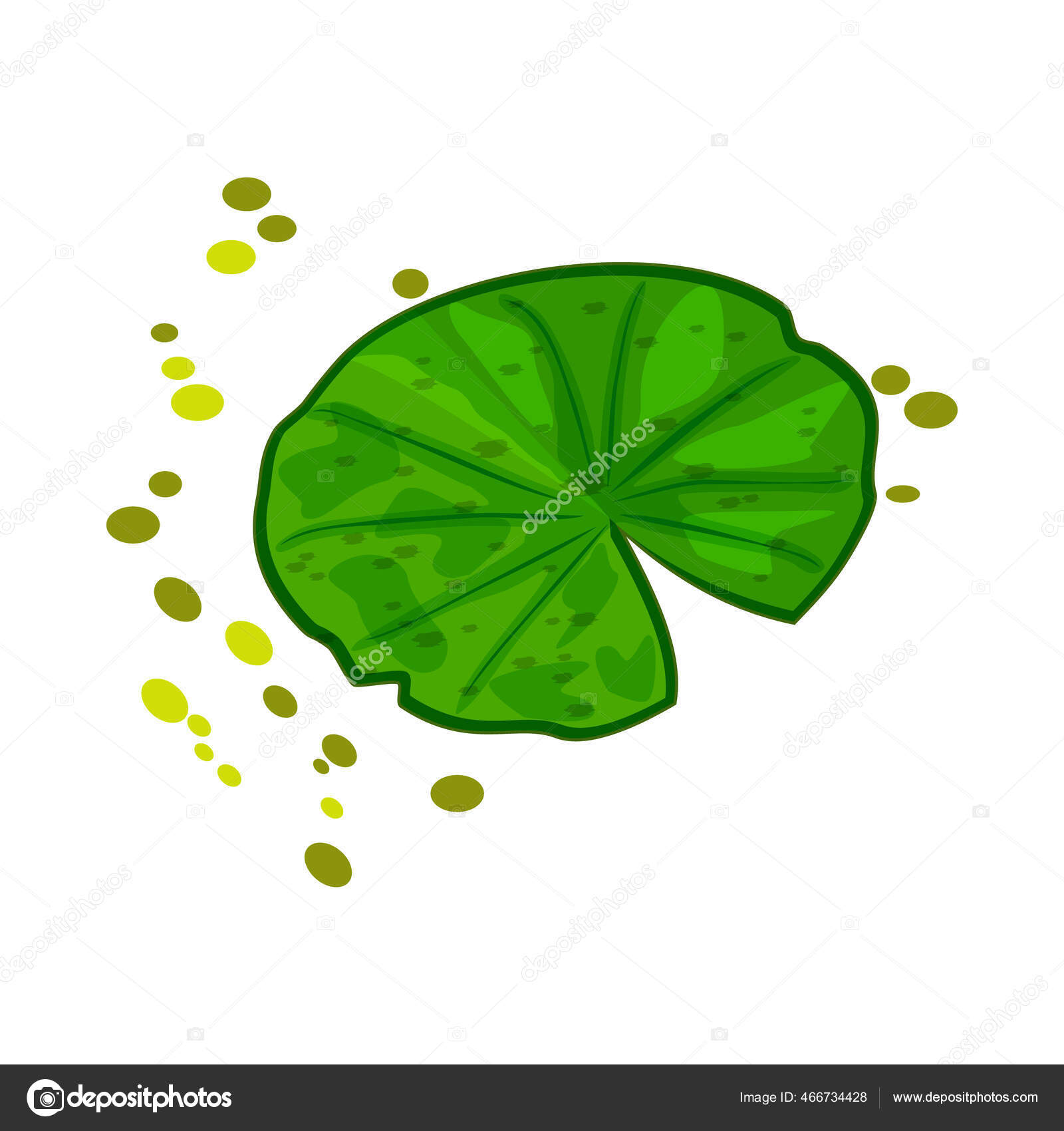 Lily Pad Isolated White Background Lotus Leaf Logo Design Cartoon Stock Vector Image By C Kajani Lily Pad Isolated White Background Lotus Leaf Logo Design Cartoon Stock Vector Image By C Kajani