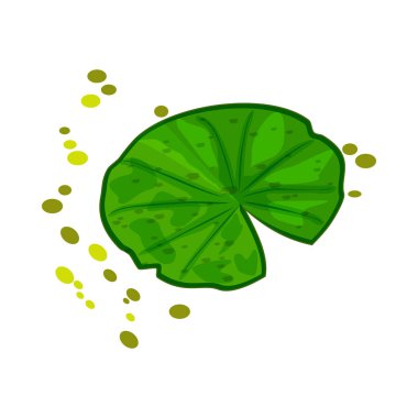 Lily Pad beyaz arka planda izole edildi. Lotus yaprağı logosu tasarımı. Nilüfer çiçeği çizgi filmi. Zambaklar bitki ikonu. Doğa elementi, orman ve vahşi yaşam. Stok vektör illüstrasyonu