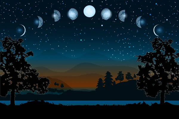 Evreleri Yeni Aydan Dolunaya Kadar Bir Döngü Çizgi Film Ayı — Stok Vektör