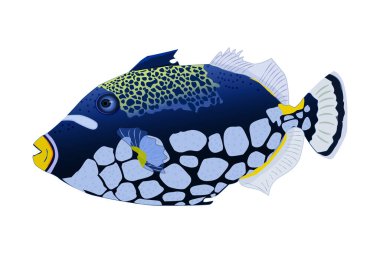 Tropical fish isolated on white background. Clown triggerfish. Sea animal, maritime character. Balistoides conspicillum. Side view. Stock vector illustration clipart