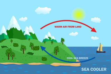 Deniz ve kara esintisi için bilim posteri tasarımı. Termal sıcak ve soğuk hava dolaşımı şeması. Dolaşım şeması termal ve serin rüzgar gösteriyor. Stok vektör illüstrasyonu