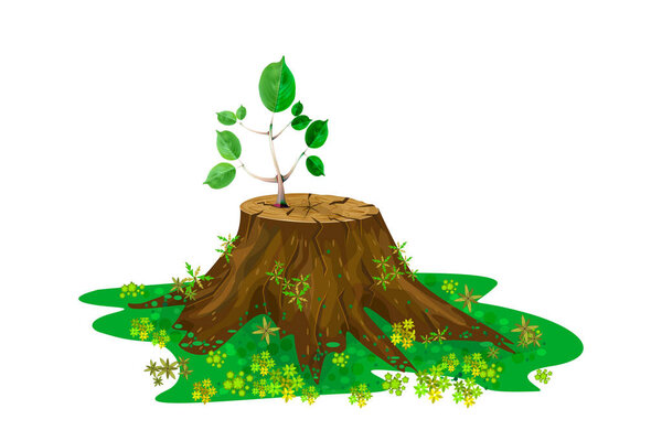 Young branch on the stump isolated on white background. New sprout on tree trunk. One new seedling is growing up on the old stump. New life or rebirth concept. Caring for nature, environmental conservation symbol. Stock vector illustration