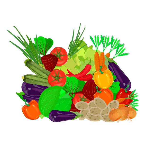 一堆堆新鲜蔬菜 背景为白色 不同成熟的有机蔬菜和蔬菜的堆积物 收获健康的生食 农产品 用于营养的大群绿肥 种群矢量说明 — 图库矢量图片