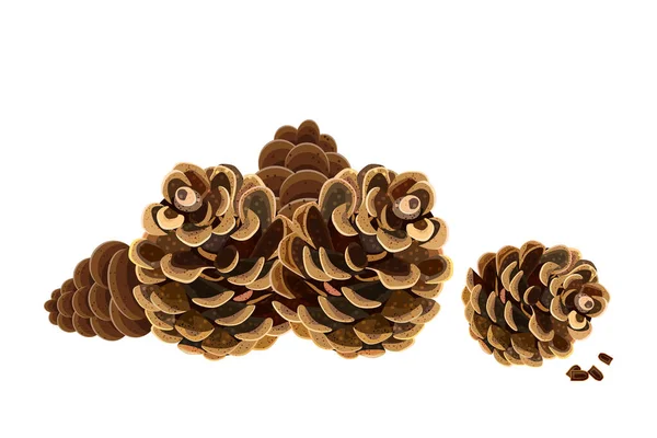 Šišky Pinecones Izolované Bílém Pozadí Otevřete Jedlovou Nebo Cedrovou Kuželovou — Stockový vektor