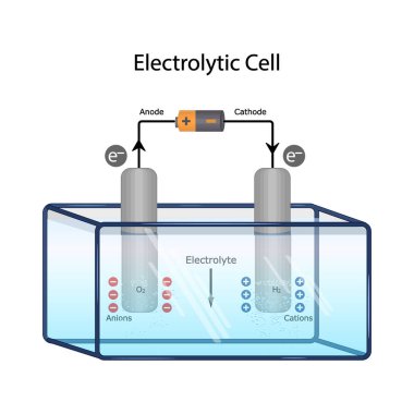 Elektrolitik hücre diyagramı anot ve katot elektrotlarıyla. Elektroliz, antrolit ve katot elektrotları, elektrolit çözeltisi, anyonlar, katotlar ve elektron akışı olan bir elektrolitik hücrenin eğitici bilimsel bilgileri. Vektör