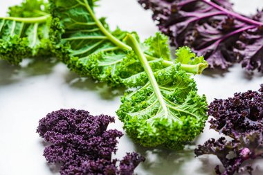 Beyaz arkaplanda yeşil ve mor lahana yaprakları.