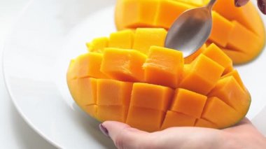 Olgun mango kadın ellerinde.