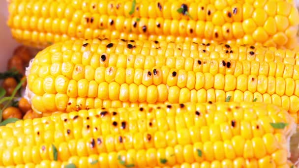 Grilled whole corn with herbs, close up. — Αρχείο Βίντεο