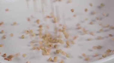 Beyaz kasede çiğ yeşil karabuğday.. 