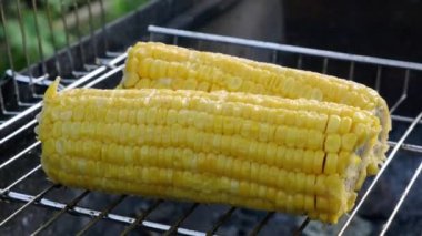 Evdeki bahçede mısır kızartıyorum. Vejetaryen açık hava barbeküsü.